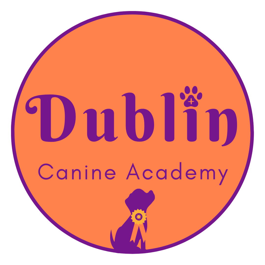 Dublin Canine Academy
